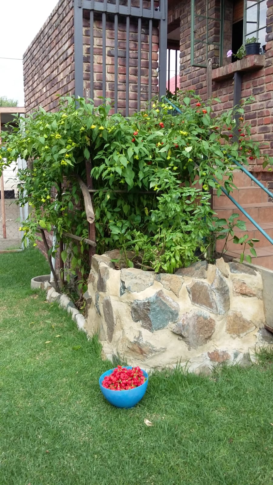 3 Bedroom Property for Sale in Bloemhof North West